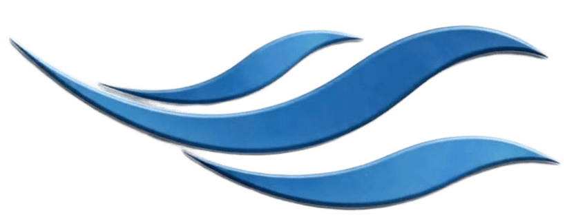 Chennai Blue Vision Foundation logo